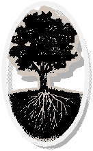Forever Tree Logo